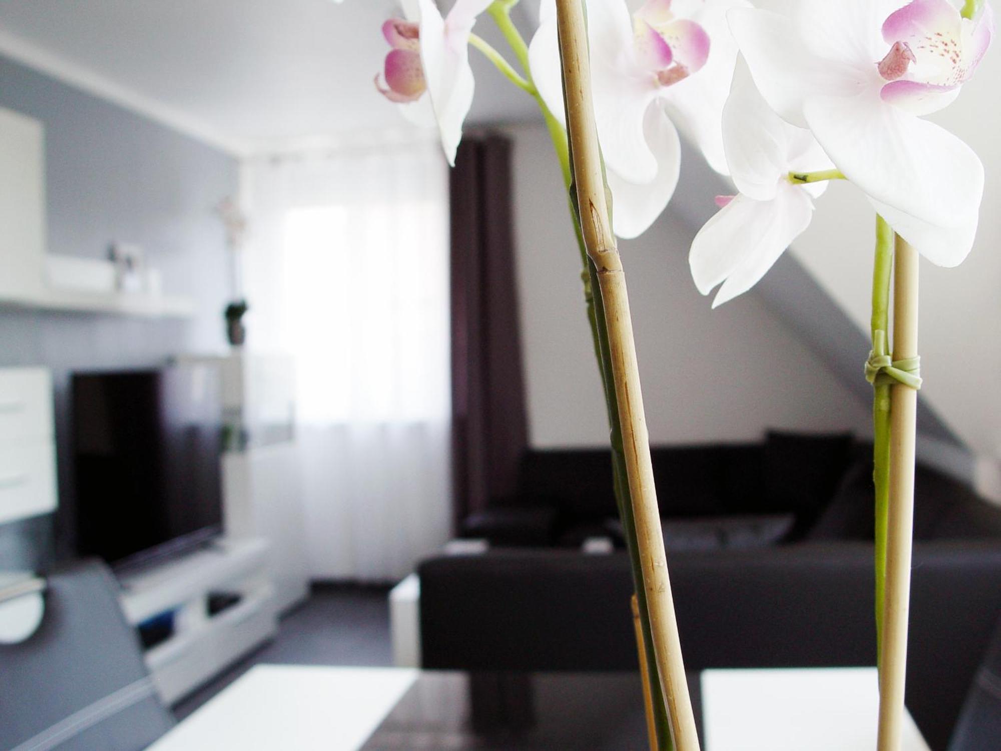 La Domus Premium Lägenhet Lotte Exteriör bild